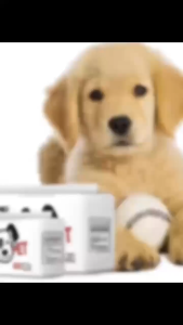 Monstermarketing Dono Disposable Pet Diaper Female Diaper XS