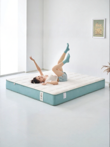 Glue-Free 7-Zone Independent Spring Spinal Support Hard Mattress