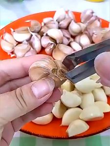 Multipurpose Removal Clip / Stainless Steel Fish Bone Tweezer/ Hair Tweezer Bone Clipper Hair Clipper Flat Head