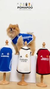 Pomapoo: Baju Kucing dan Anjing Jersey Football Manchester United, Chelsea & Real Madrid