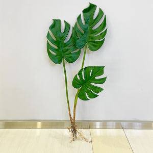 Artificial Turtle Back Leaf Spring Rain Leaf Hydroponics Small Angel Home Model Room Decoration Wedding Photography Plant Materials