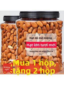 Hạt Thông Mở Bự Cao Cấp Đông Bắc
