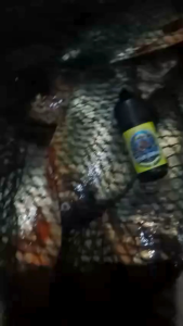 ESSEN MANCING JENGKI SPECIAL BAWAL 30ML AROMA AMIS SEGALA MEDIA UMPAN