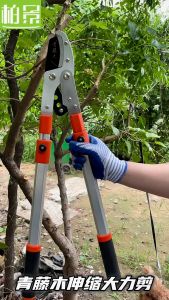 Scalable and labor-saving horticultural tool for pruning rough branches of fruit trees
