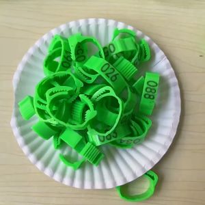 50Pcs Chicken Leg Bands Adjustable Poultry Leg Rings Plastic Clip Ring Numbered Tag Markers for Gamefowl Rooster Chicks Ducks