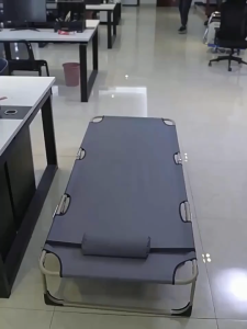 LivinEase Adjustable Foldable Bed with Detachable Mattress Silent Operation High Load Capacity Can Reclinin&Lying
