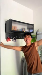 Wall Mounted Storage Cabinet Adjustable Pegboard Organizer Dustproof Retractable Door Kitchen Bathroom Rack Black White