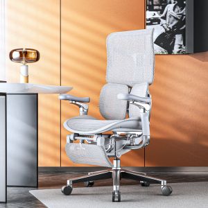 【5 Years Warranty】Sihoo Doro S300 Ergonomic Aluminum Office Chair with 6D Armrest and Floating-Wing Lumbar Support TUV Certified Gas Lift