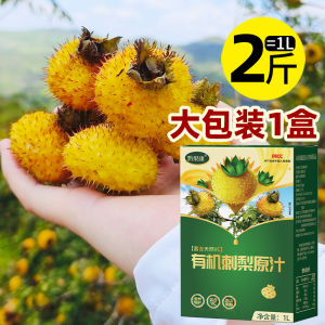 Organic Amla Juice Fresh Fruit Pressed 2L High Vitamin C Content Green Color Pure Fruit Juice Specialty Product from Guizhou