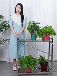 Stainless Steel Flower Rack Outdoor Succulent Flower Pot Rack Indoor Balcony Rack Load-Bearing Bonsai Rack