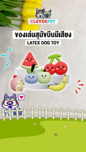 CleverPet ของเล่นสุนัข บีบมีเสียง ผลไม้ ยางพารา ยางธรรมชาติ ของเล่นหมา เหนียวและทน Latex Dog Toy