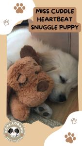 ✅[SG] Miss Calming Puppy Heartbeat Reduce Separation Anxiety★ FREE Separation Anxiety Training eGuide Worth $7 ★ Fast Shipping
