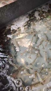 Vannamei SHrimp Feed Blanca Feed 7702N x 25kg | Starfeedmills | Makanan udang berprotein tinggi