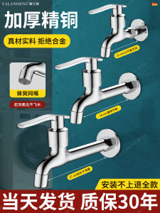 Frosted Surface Kitchen Faucet Anti-Splash Extended Model for Laundry Sink Stove Balcony Wall-Mounted Single Cold Water Supply