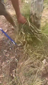 Agricultural Folding Sickle Gardening Mowing Weeding Knife Long Handle Mowing Knife Agricultural Sickle Garden Tools