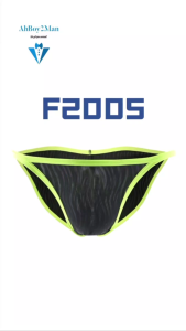 Mens Brief : Mesh Bikini Underwear (Fankazi F2005)