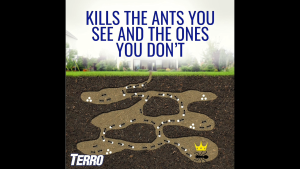 TERRO LIQUID ANT BAIT KILLER T200 60CC 2 OZ IMPORTED FROM USA