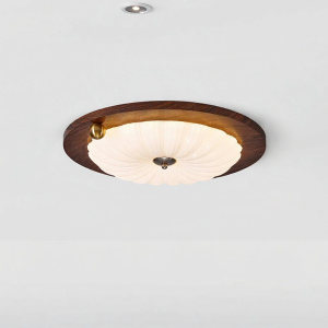 DENGJIAN | Retro Ceiling Light Bluetooth 2.0 Mesh
