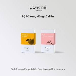 Khử Mùi Ô Tô Dạng Rắn có Hương cho Cửa Xuất Khí Điều Hòa