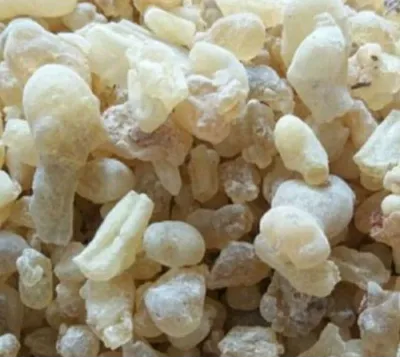 Luban Royal Frankincense 100g Pure from Oman - Aromatic Resin for Cooking and Aromatherapy