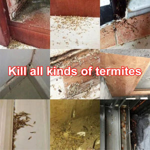 No termites forever‼ termite killer termite spray 白蚁喷雾 Spray a few sprays on the termites and the termites will return to the nest with the virus. The termites in the nest will be infected and die one after another racun anai anai terbaik