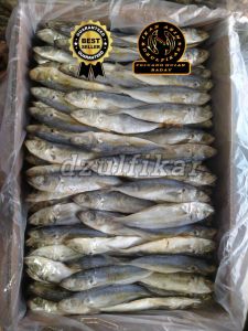 IKAN ASIN JAPUH LAYANG 100% BERKUALITAS