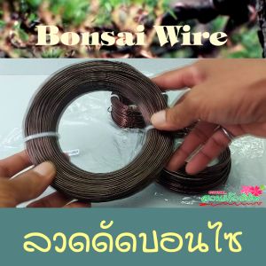 ลวดบอนไซ เบอร์2.5 ครึ่งกิโล ลวดสำหรับดัดกิ่งบอนไซ ไม่เป็นสนิม ลวดใช้มัดต้นไม้ มัดกล้วยไม้