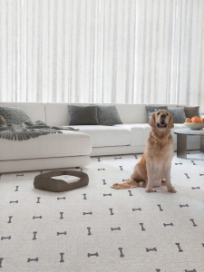 JINGZHIQIN | Waterproof Urine-Resistant Pet Mat Anti-Slip