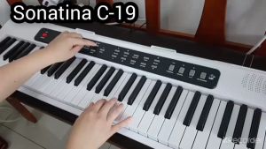61 Keys Portable Travel Digital Piano Keyboard Electronic Piano Multifunction Good Sound Quality Fun Playing Sustain Function Fashionable Design Space Saving Electronic Keyboard Suitable Adult Suitable Trendy Piano Standard Keyboard Full Size Key 2.2cm