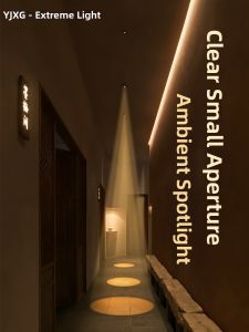YJXG | Spotlight Light