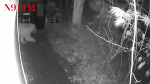 Ultrasonic Monkey Repellent PIR Sensor-Controlled Siren and Strobe Alarm System Solar Alat Penghalau monyet Repel birds/lizards/snakes/rats/bats/wild boars/gecko