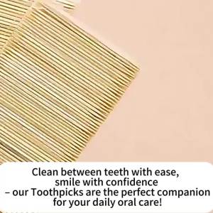 100/300/500 Pcs  Natural Toothpick Natural Ring Bamboo Single Head Toothpick for Restaurants Fine Toothpick Fruit Signature