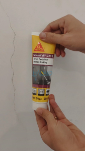 Keo trám vết nứt tường SikaWall – 720E