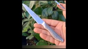 Dao gọt hoa quả cao cấp Global nhập khẩu từ Nhật Bản - Thép trắng không gỉ