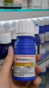 MINECTO XTRA 200/200 SC: Insektisida Pengendali Hama