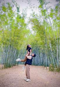 Cây tre phấn trắng gốc giống