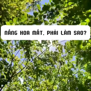 Phim Dán Kính Chống Nắng Cách Nhiệt 45x200cm | Phim Chống UV Chống Nóng Đa Năng Cho Mọi Loại Cửa Kính