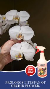ANDGRO Foliar Spray for Flowering - Orchid