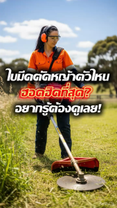 ใบมีดตัดหญ้า ใบมีดวงเดือน ใบมีดวงเดือนตัดหญ้า 24 ฟัน / 40ฟัน รุ่นสีน้ำเงิน SK5 ใช้ดี ทนทาน ใบตัดคาร์ไบท์ เลื่อยตัดหญ้า วงเดือนตัดหญ้า by วีฟาร์ม