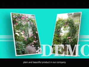 Khung vòm cổng cho hoa hồng leo cao 225cm chiều sâu 31cm màu đen dùng từ 5 năm ở nhiệt độ ngoài trời của Nhật