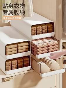 Drawer Type Multi-functional Organizer for Underwear Socks and Pants