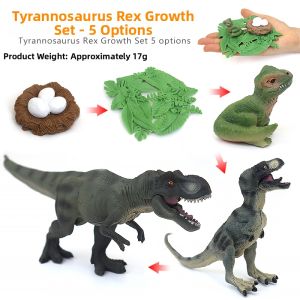 Realistic Tyrannosaurus Growth Dinosaur Toy Model