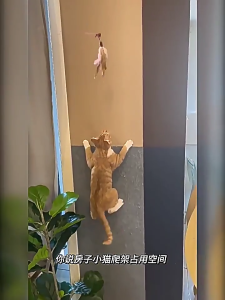 Anti-cat scratching sofa protection cat scratching wall stickers wear-resistant and non-shedding self-adhesive cat scratching mat multi-function anti-cat scratching protection stickers