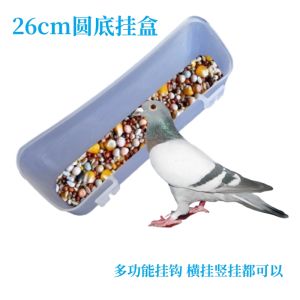 Round Bottom Water Box & Thickened Food Box: A Comprehensive Guide