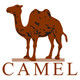 Camel Red Penguin Specialty Store