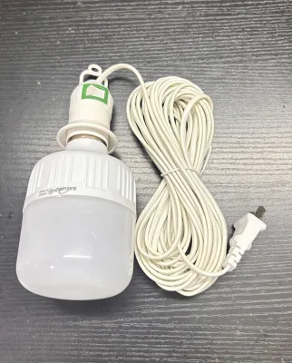 หลอดไฟแอลอีดี LED LAMP ขนาด 20 วัตต์ หลอดไฟพร้อมสาย 10เมตร (มีตัวเลือก กรุณาเลือกภาพสินค้าให้ตรงกับความต้องการ)