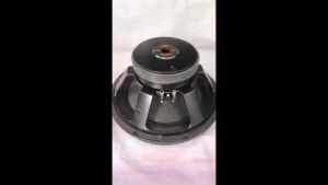 Loa sub 30 xương nhôm vát từ 156 côn 51 gân mút đại công suất 500w giá 1 chiếc