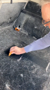 Pet Fur Removal Tool For Cars/Carpet/Home/Sofa/Bed