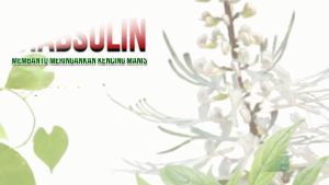 Diabsulin Herbal Alami Obat Diabetes  Ampuh Bantu Atasi Gula Darah Alami Halal dan BPOM 60 Kapsul
