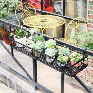 Iron Hanging Plant Bracket